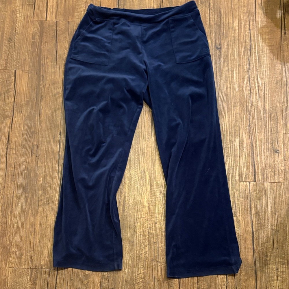 Juicy by Juicy Couture Blue Velvet Pants